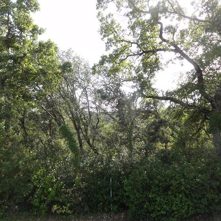 Gite le bagnol un coin de paradis Maubec  Esterno foto