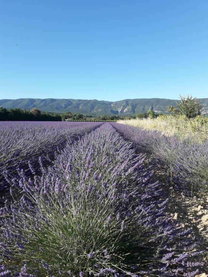 Gite le bagnol un coin de paradis Maubec  Esterno foto