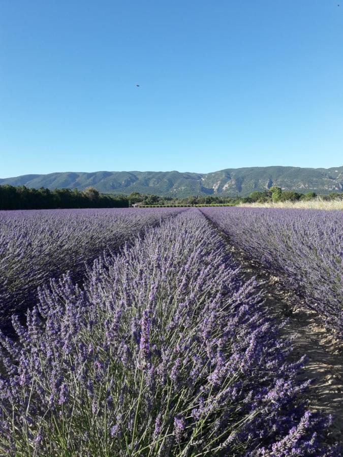 Gite le bagnol un coin de paradis Maubec  Esterno foto