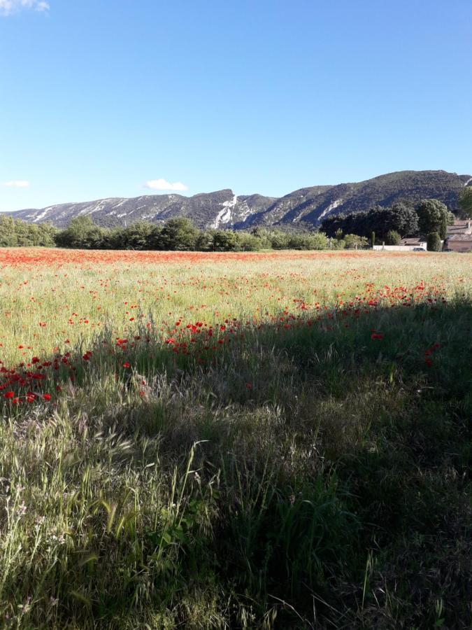 Gite le bagnol un coin de paradis Maubec  Esterno foto