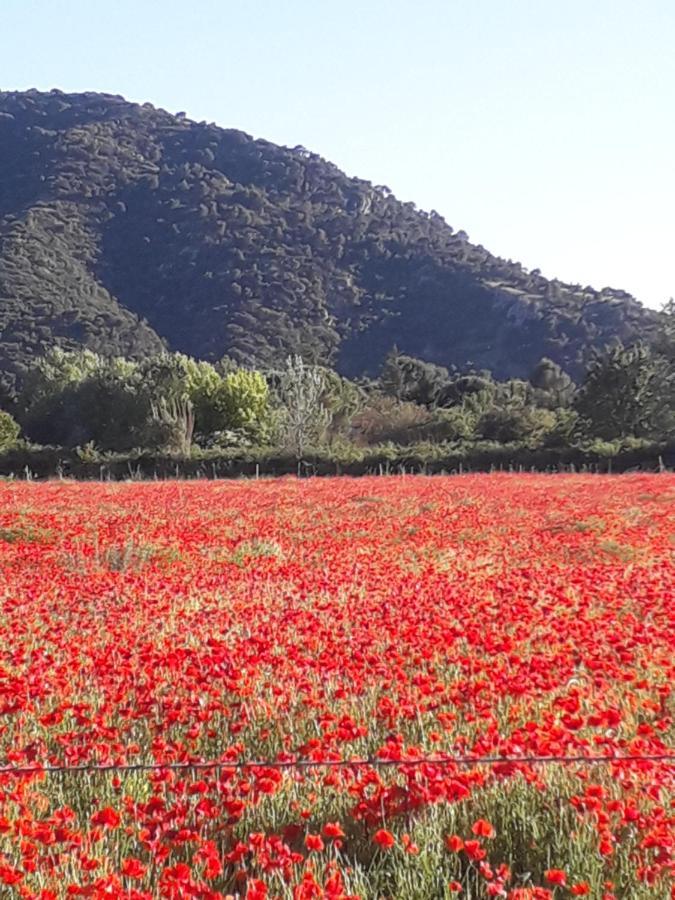 Gite le bagnol un coin de paradis Maubec  Esterno foto